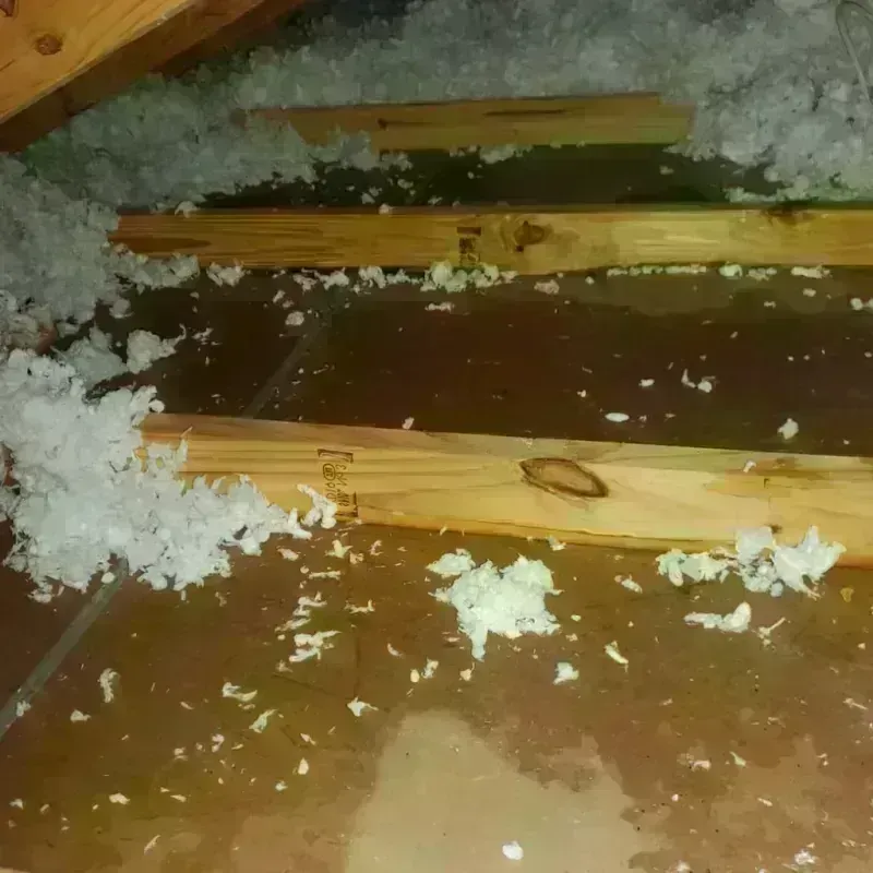 Attic Water Damage in Gurabo, PR